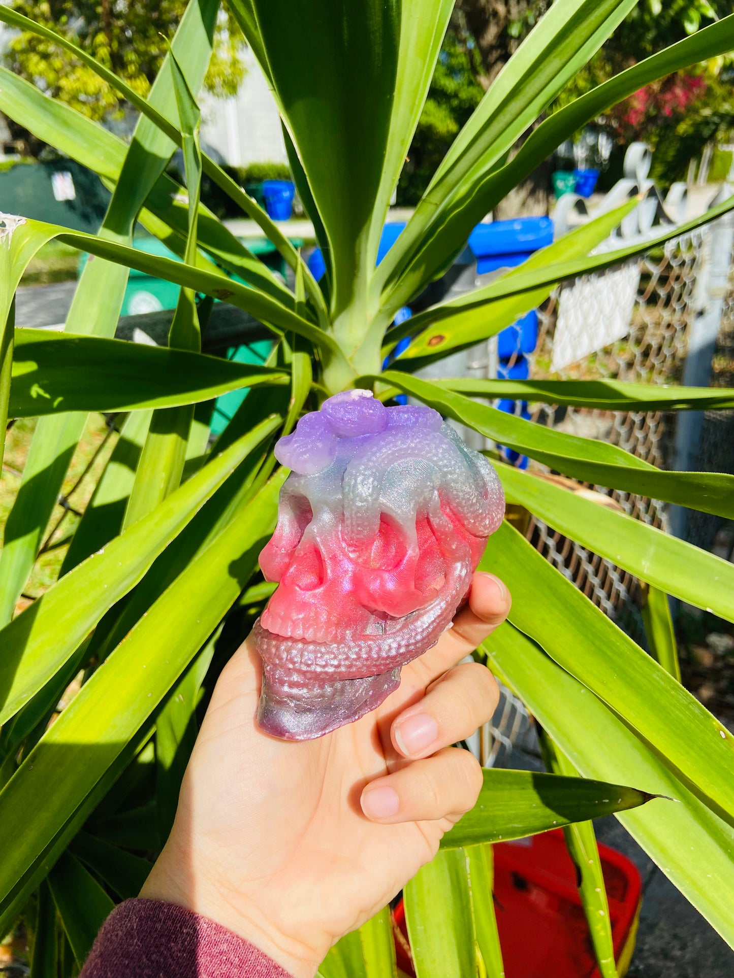 Skull candle