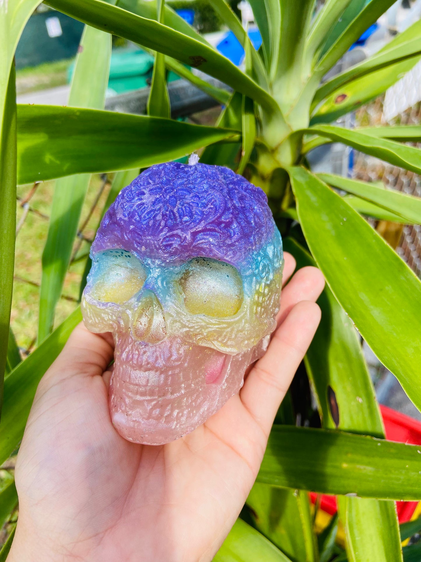 Skull candle